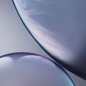 Meet your Posher, Eli